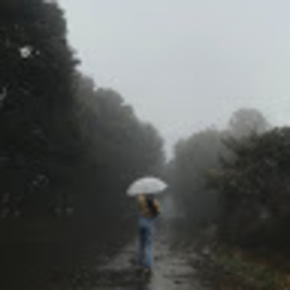 Meet your Posher, Genesis